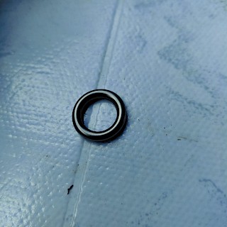 Seal Ring 100044553
